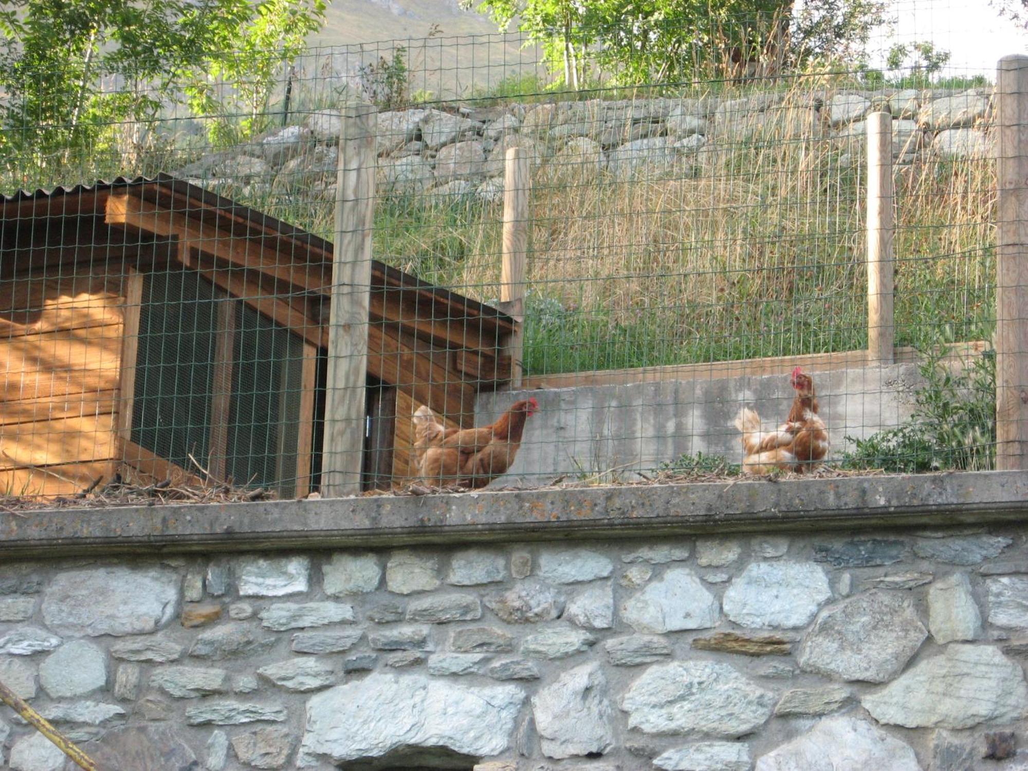 Agriturismo Lo Ratele Villa Allein Buitenkant foto